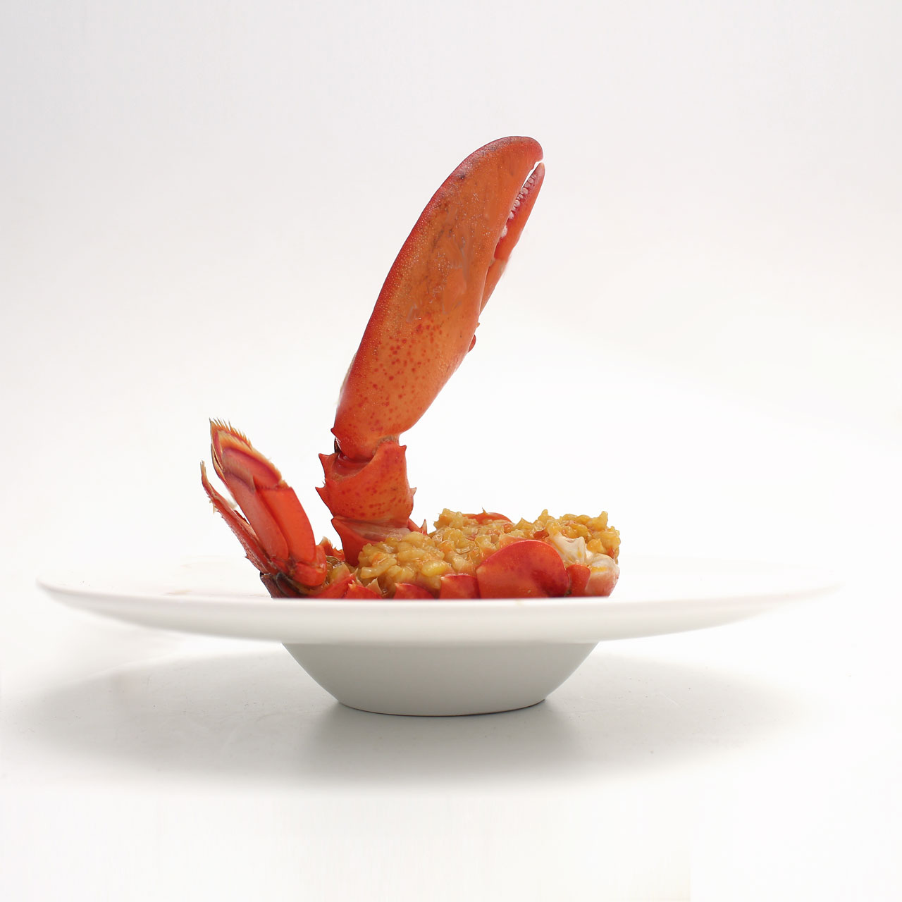 Arroz meloso con bogavante W 1 Arroz Bogavante