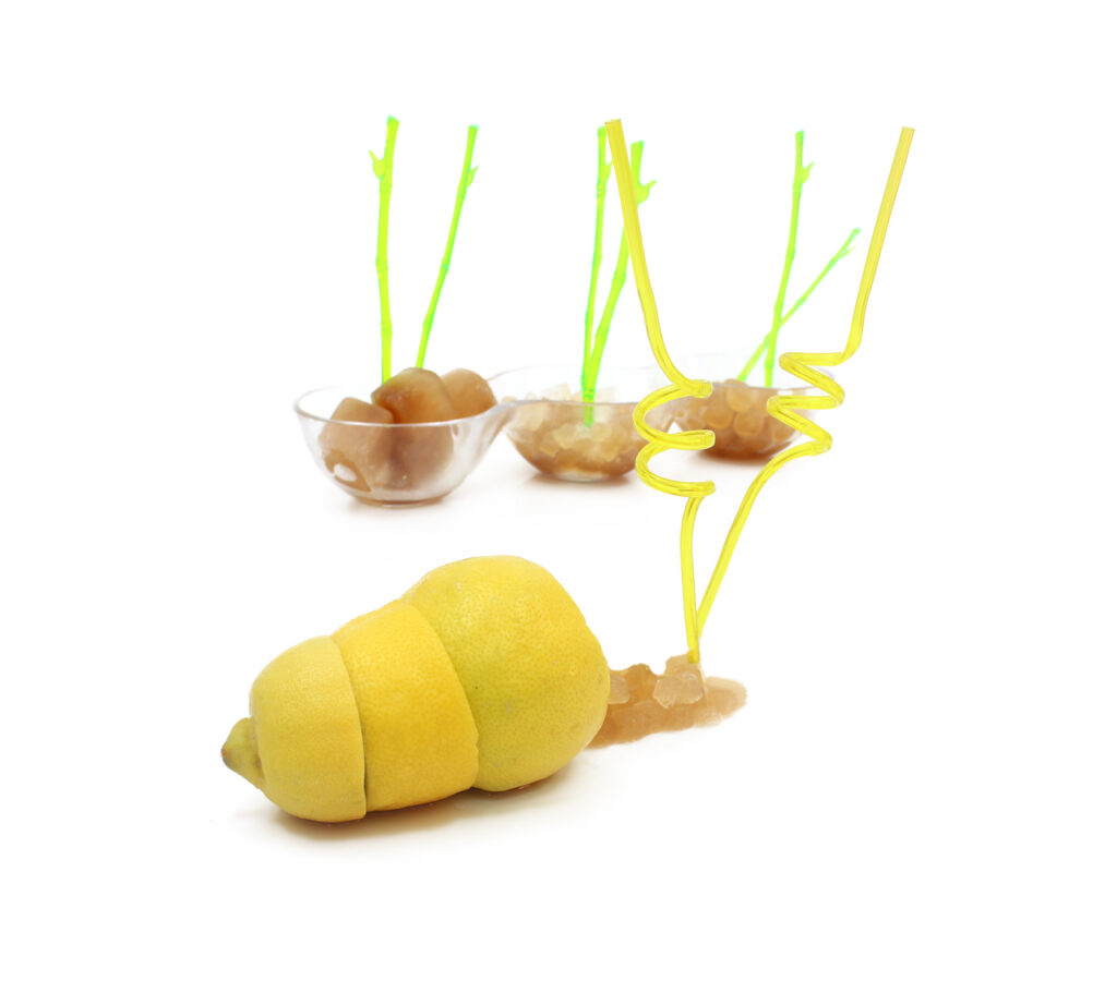 W 3 Caracol 1024x922