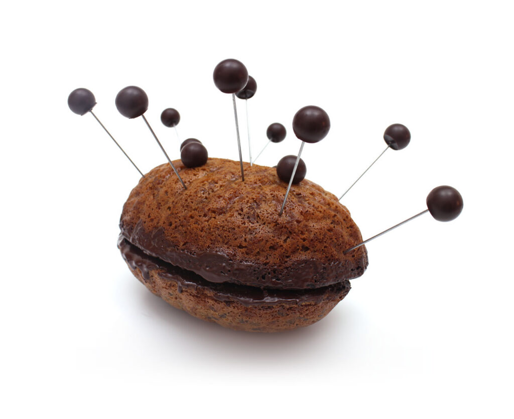 W 3 Cerebro 1024x834