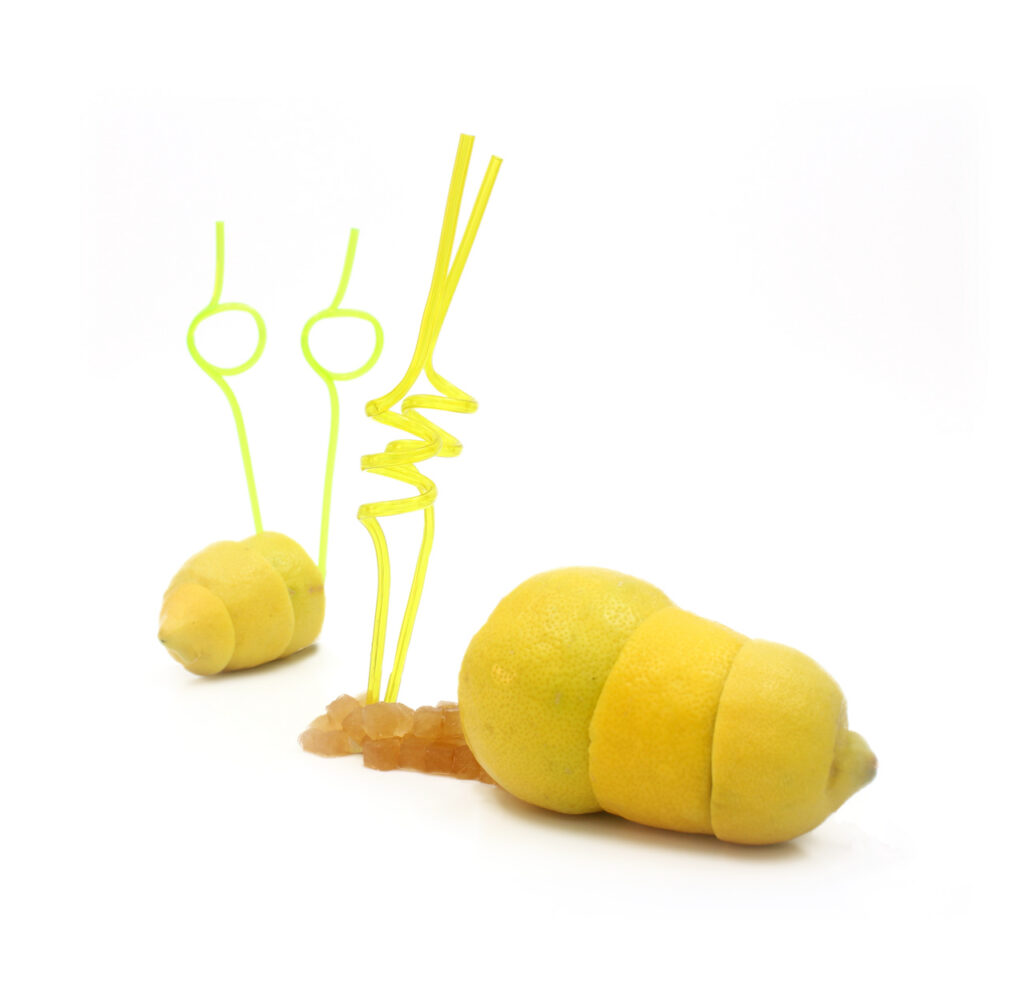 W 4 Caracol 1024x997