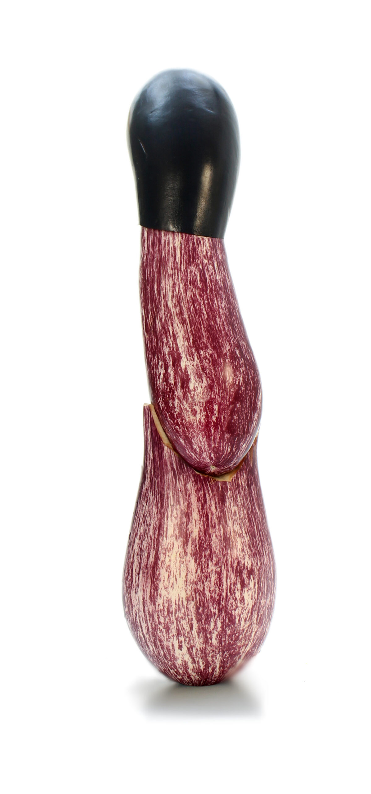 W 8 Berenjena Puerro Scaled