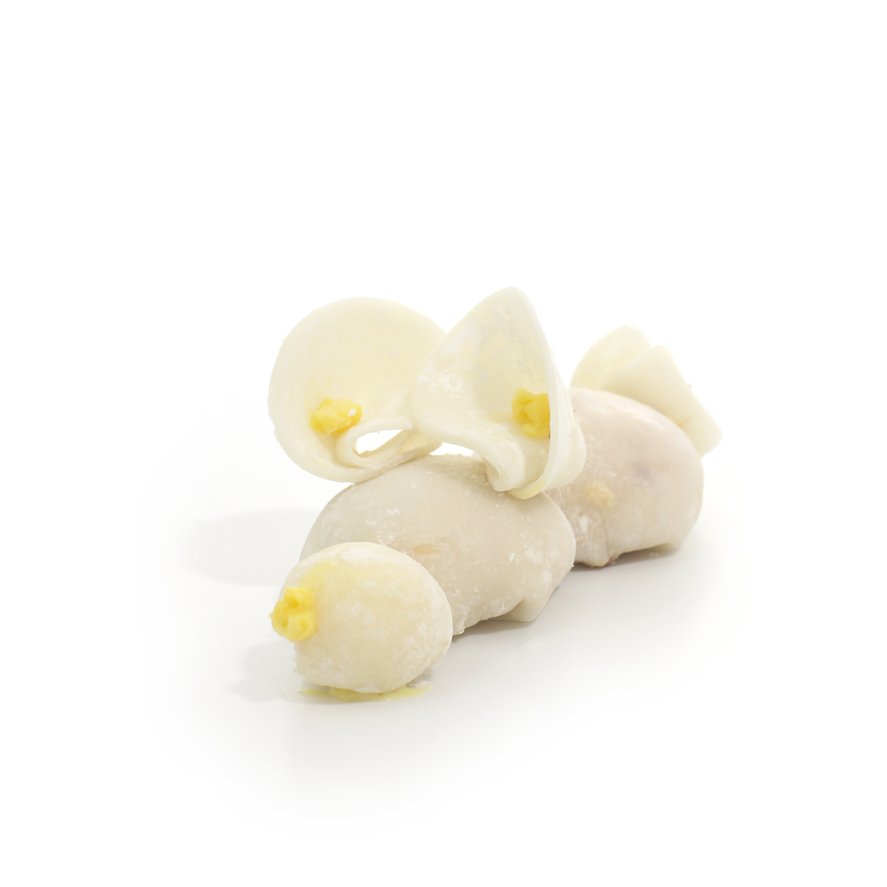 W 9 Mochi