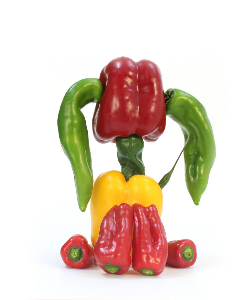 Web 1 Perro Pimiento 845x1024