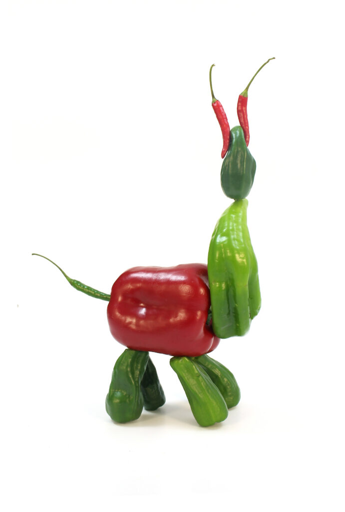 Web 5 Perro Pimiento 691x1024