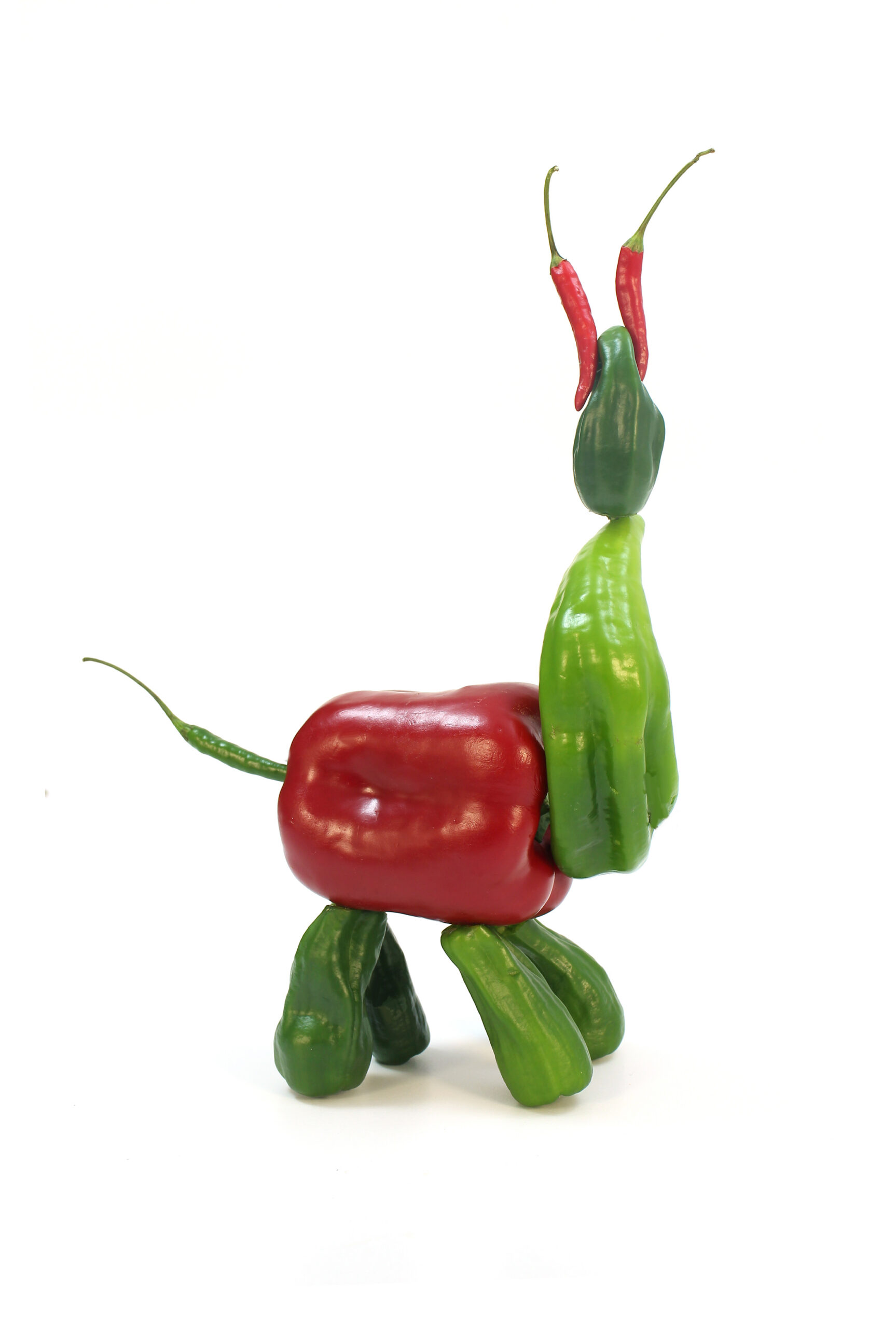 Web 5 Perro Pimiento Scaled
