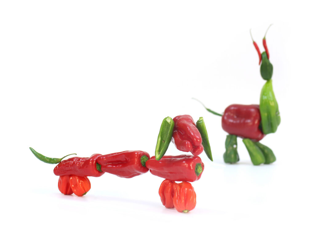 Web 6 Perro Pimiento 1024x748