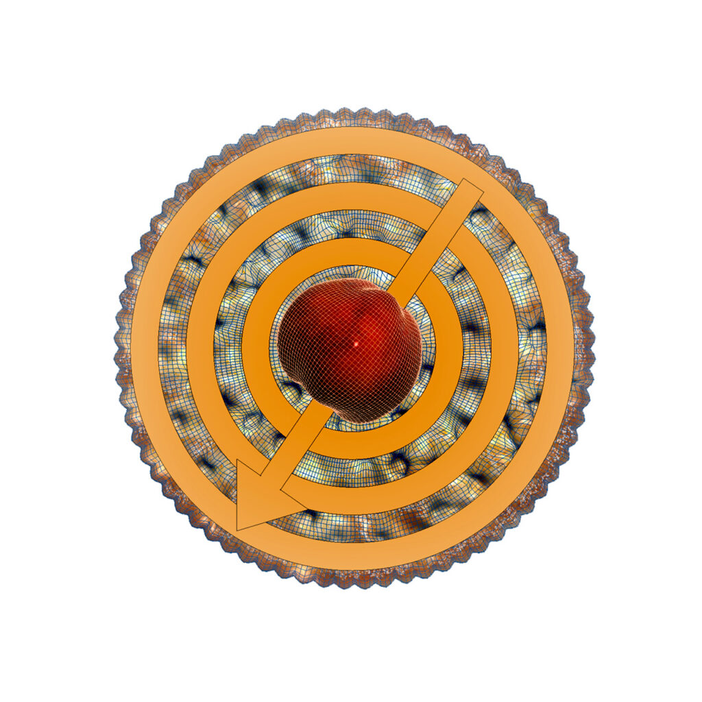 Web 6 Tell 1024x1024